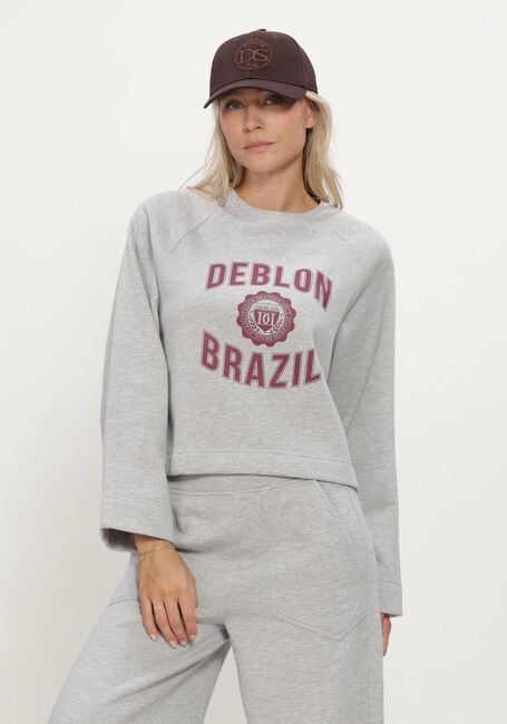 Graue DEBLON SPORTS Sweatshirt AYMEE SWEATER - large