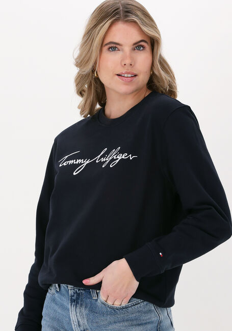 Dunkelblau TOMMY HILFIGER Pullover REGULAR GRAPHIC C-NK SWEATSHIRT - large