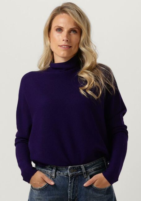 Lilane DRYKORN Rollkragenpullover LIORA 42002 - large