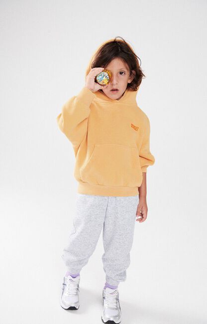 Gelbe AMERICAN VINTAGE Pullover & Cardigans IZUBIRD HOODIE - large