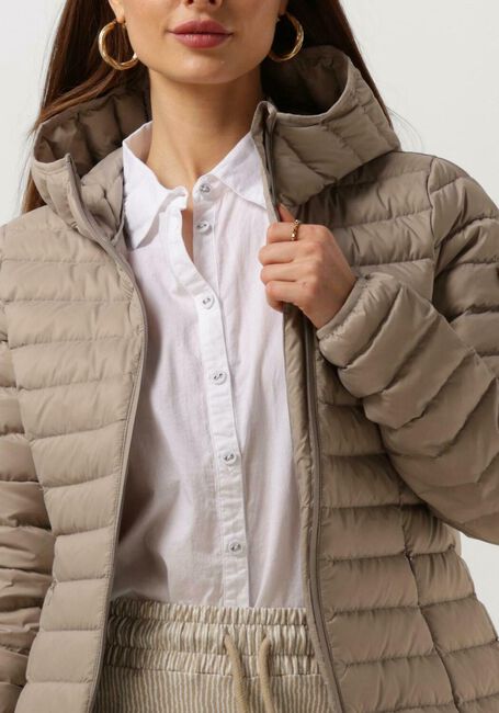 Taupe MOSCOW Jack 02-08-EDGY - large