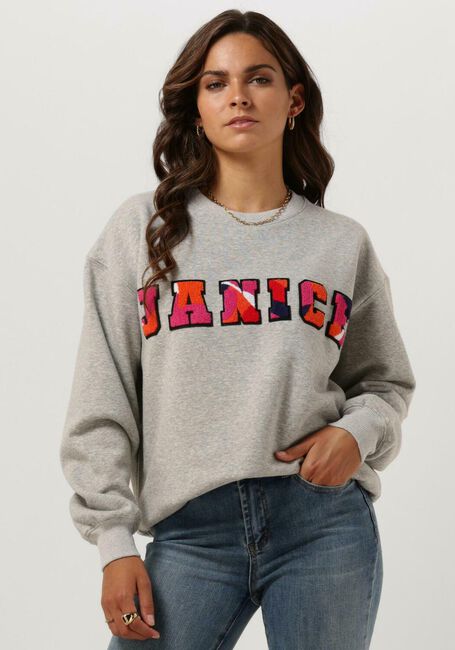 Graue JANICE Pullover SWEATER DAMES ANDY LOGO - large