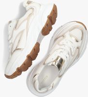 Weiße HABOOB Sneaker low LPTOKIO - medium