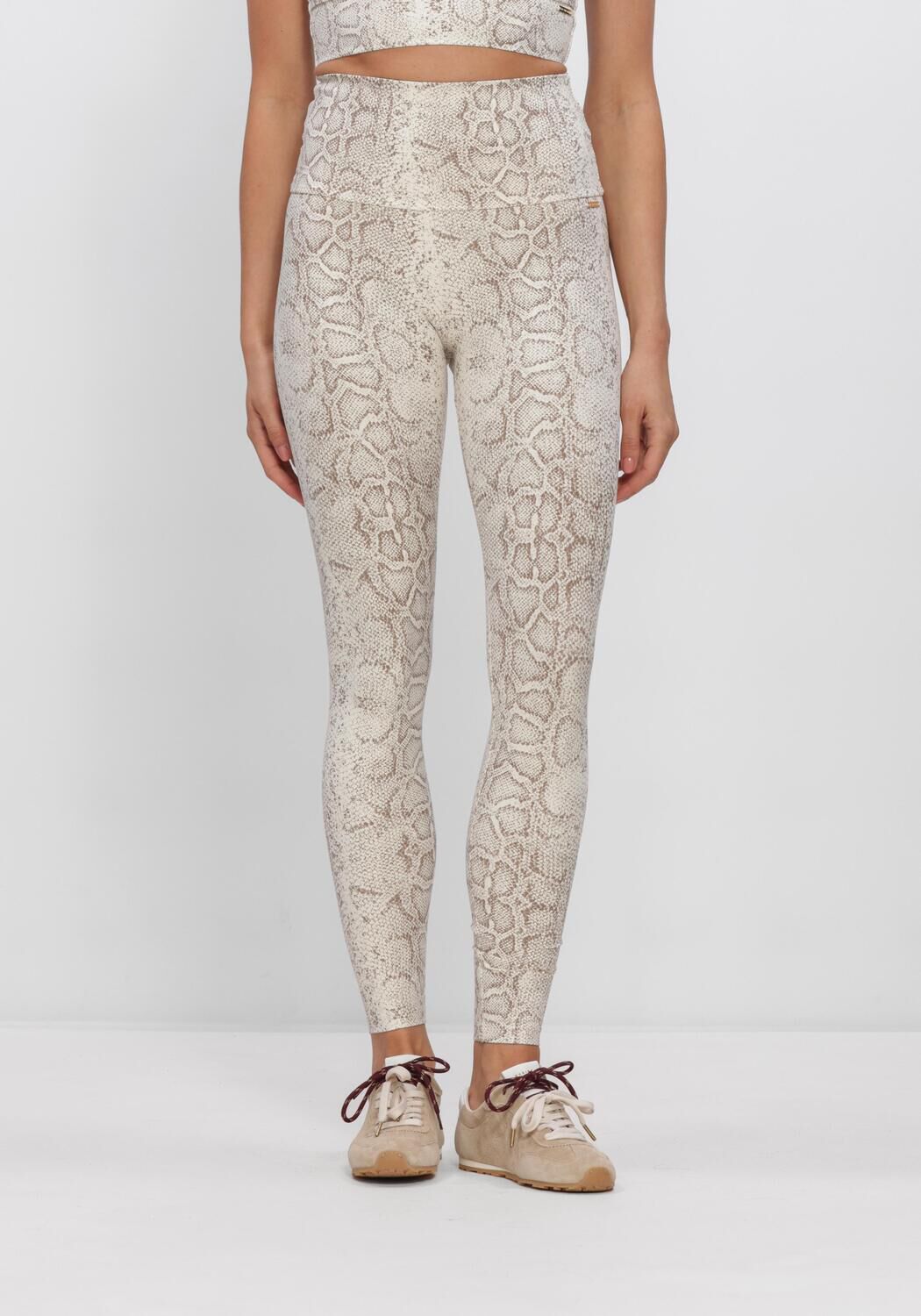 Braune DEBLON SPORTS Legging CLASSIC LEGGINGS HIGH WAISTBAND 2 - large