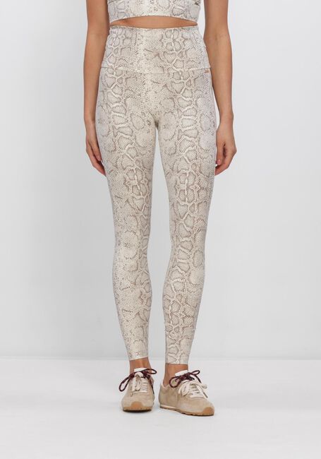 Braune DEBLON SPORTS Legging CLASSIC LEGGINGS HIGH WAISTBAND 2 - large