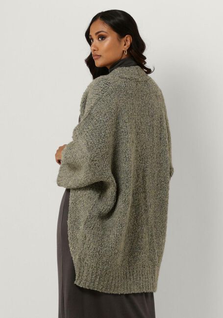 Taupe SIMPLE Strickjacke KNIT-BOCC-23-1 - large