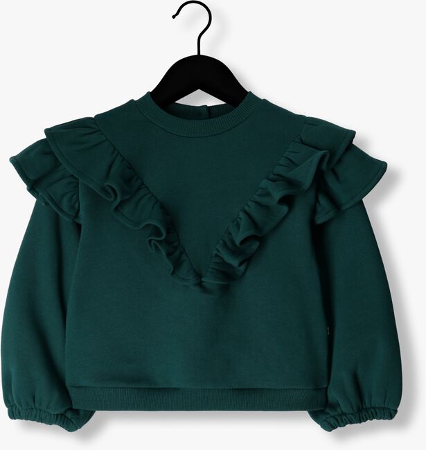 Grüne AMMEHOELA Sweatshirt AM.PHILOU.21 - large