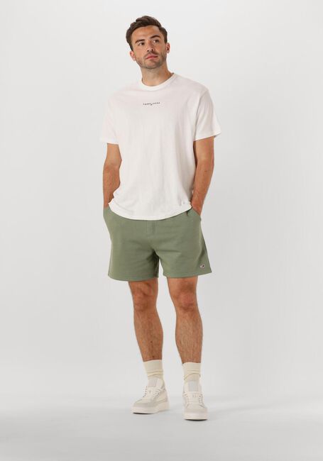 Grüne TOMMY JEANS Kurze Hose TJM S FLAG BEACH SHORT EXT - large