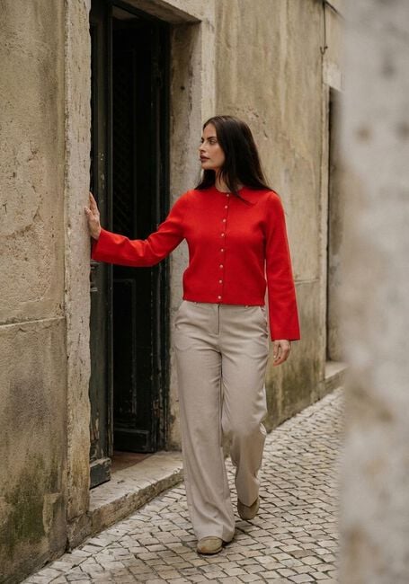 Image without a name